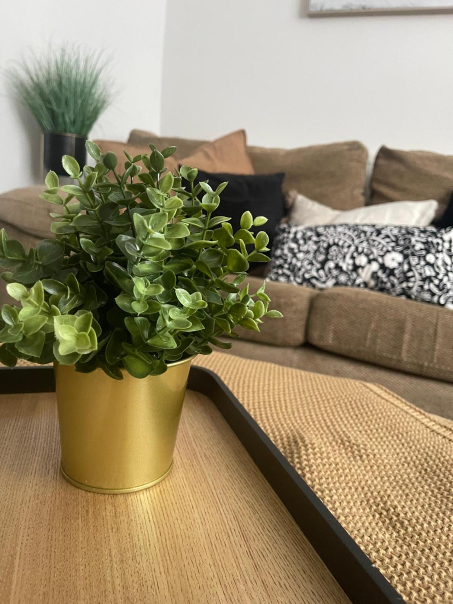 Modern, Spacious And Central Location أبردير المظهر الخارجي الصورة